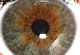 oeil3_b